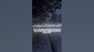 القرآن الكريم #تلاوة_هادئة #اكسبلور #ياسر_الدوسري #quran #عبدالرحمن_مسعد #راحة_نفسية #telawat