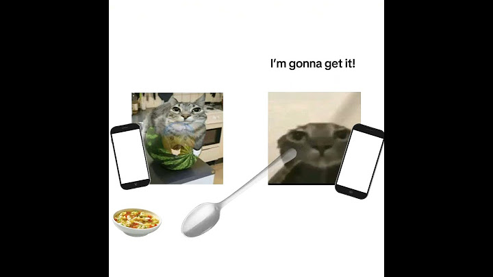 Why did he buy that 😭🙏 #cat #memes
