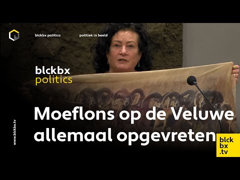 Caroline over de wolf: Toen de pony van Von der Leyen werd doodgebeten mocht hij wel worden gejaagd
