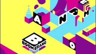 Boomerang - 2014/2015 bumpers