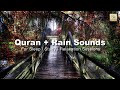 Quran and rain sounds for sleeping study relaxation meditation session  calming quranrecitation