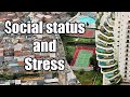 Social status and stress for IB Health Psychology