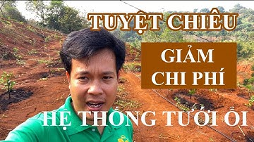 CÁCH GIẢM CHI PHÍ HỆ THỐNG TƯỚI VỚI BÉC TƯỚI GỐC GIÁ RẺ VP5 | VNPLANT