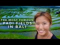 BALI JATILUWIH Hot Springs, Delicious Durians &amp; Rice Terraces, so much Fun! TRAVEL WITH US