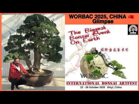 Glimpse Of CHINA BIGGEST BONSAI EXHIBITION WORBAC 2025