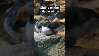 Sitting On The Toilet In The Winter