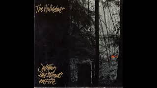 The Walkabouts - Nightdrive