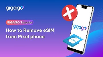 How to Remove eSIM from Google Pixel Phone