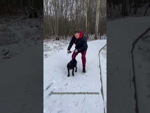 Когда увидел маленькую