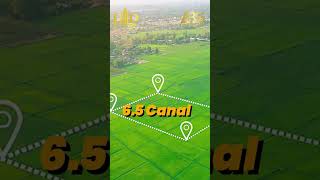 Pearl One Royal Construction Starting Soon | 3 Year Delivery Plan