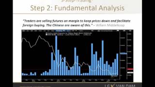 LVDTA Real Vision Video Analysis: Gold - Willem Middelkoop