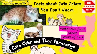Facts about Cats Colors  You Don’t Know. by PawsPlayhouseTV 76k Subscriber 1.3 M views  61 views 4 months ago 10 minutes, 17 seconds