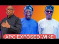 E DON BUST ‼️ APC FINALLY EXPÒSED WIKE FOR WORKING AGAINT PETER OBI