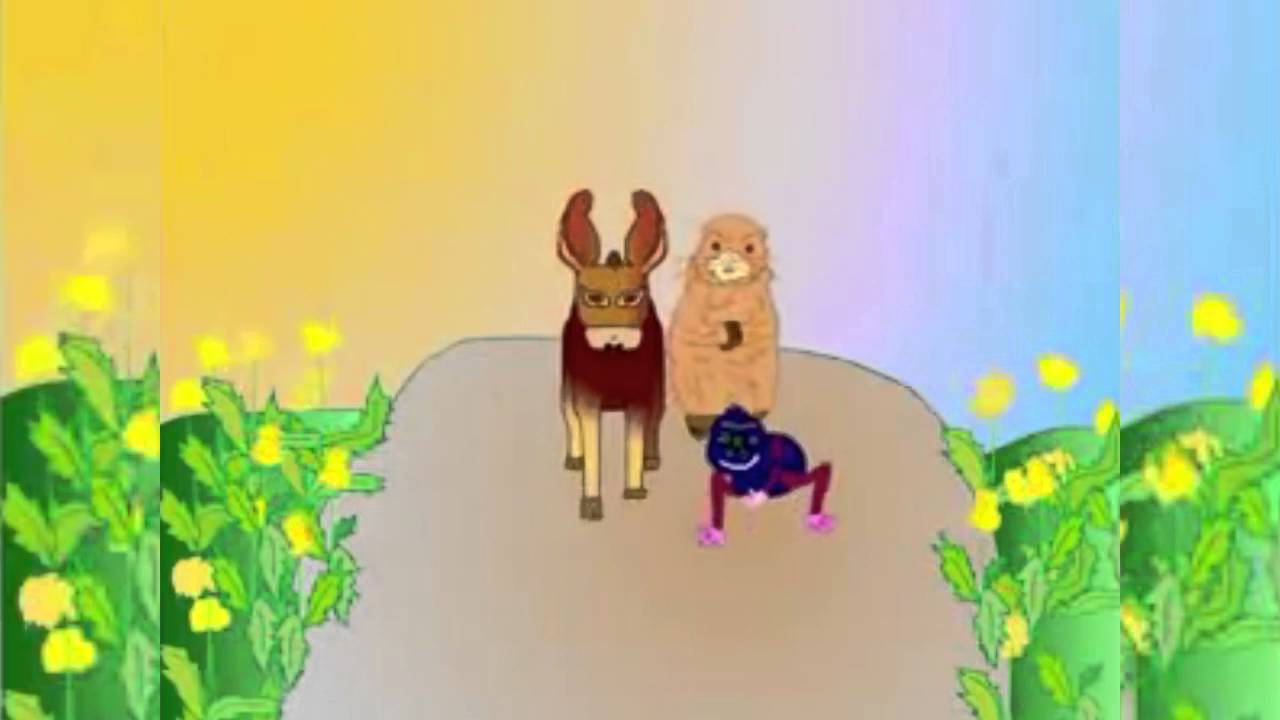ослик суслик паукан. ослик суслика в пукан. ослик суслик паукан и мокренькая кисонька видео. по дороге летним днём на-на-на. ослик суслик паукан.