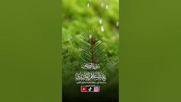 ماتيسر من سورة القصص - الشيخ عبد السلام العابيدي