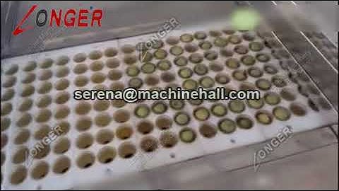 Green Plum Pitting Machine|Seed Remover|Core Removing Machine for Sale
