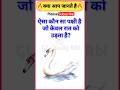 ऐसा कौन सा पक्षी है जो केवल रात को उड़ता है? || Gk Quiz || #gk #shorts #shortvideo