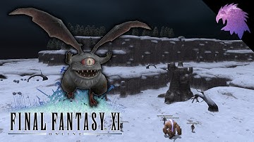 FFXI | Odds & Ends + Dynamis Beaucedine Clear | Final Fantasy XI Let