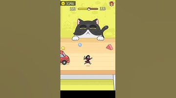 hide and seek cat escape/android game/new skin/new cat/level-112 #short
