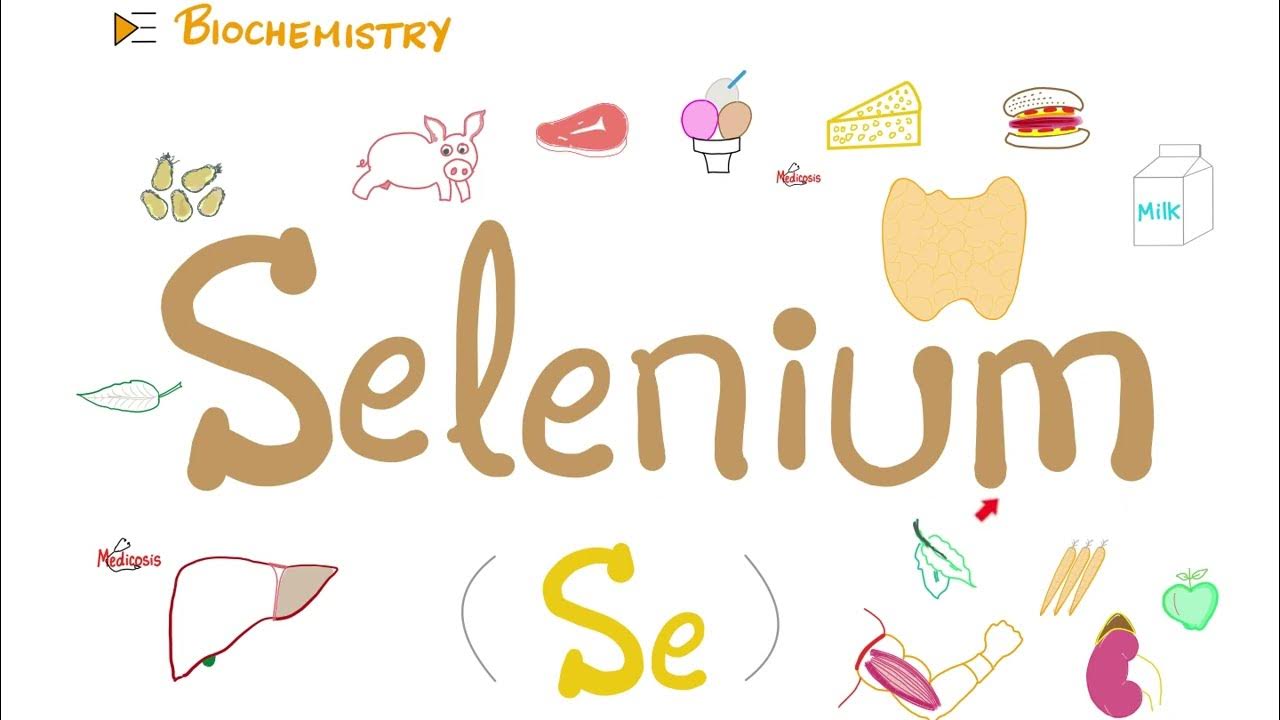 Selenium is good for your heart & joints (antioxidant) YouTube