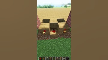 Double Block Swapper #minecraft #shorts