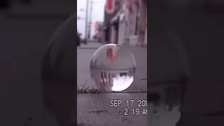 What Happened to the Fish Bowl on the Street?