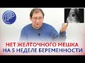 5 неделя беременности. Нет желточного мешка. Может ли это быть многоплодная беременность?