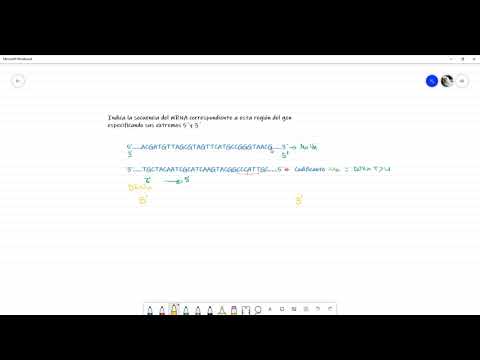 EJERCICIO. Como identificar