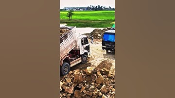 Bulldozer Pouring Soil DumpTruck Transport Stone Short971