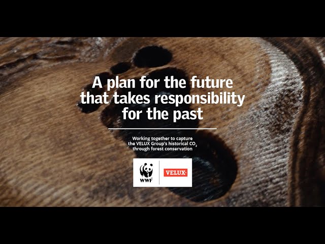 Lifetime Carbon Neutral with WWF - VELUX Sustainability Strategy 2030 