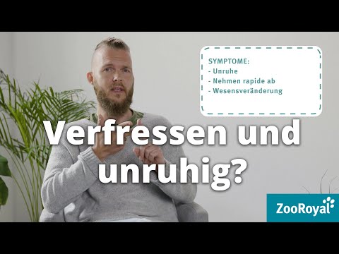 Video: Schilddrüsenerkrankungen Bei Hunden Und Katzen