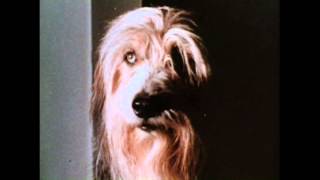 A Boy And His Dog - Chłopiec I Jego Pies - 1975 - Trailer