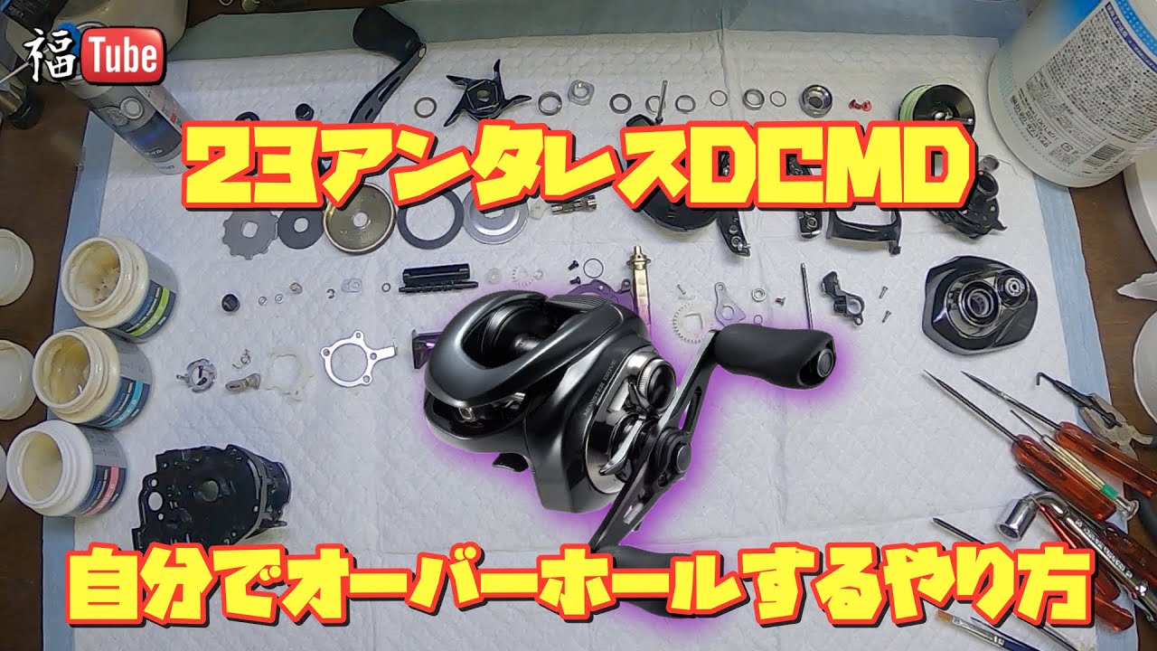 How to overhaul a 23 Antares DCMD yourself! Almost complete