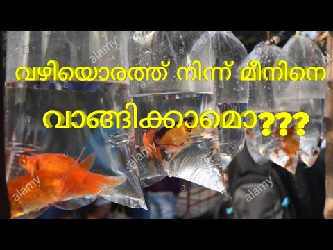 camera iphone 8 plus apk വഴിയൊരത്ത് നിന്ന് മീനിനെ വാങ്ങിക്കാമൊ