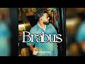 [FREE] Dystinct X Soolking Type Beat | Afro Type Beat "Brabus"