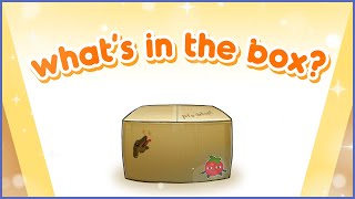 Dokibirdの配信のサムネイル画像