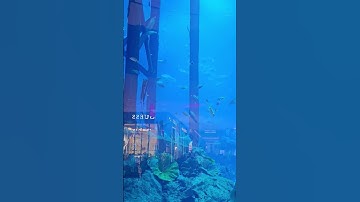 Thumbnail of Kehnde Ne Naina #dubai #dubailife #dubailifestyle #dubaimall #dubaivlog #dubaimarina