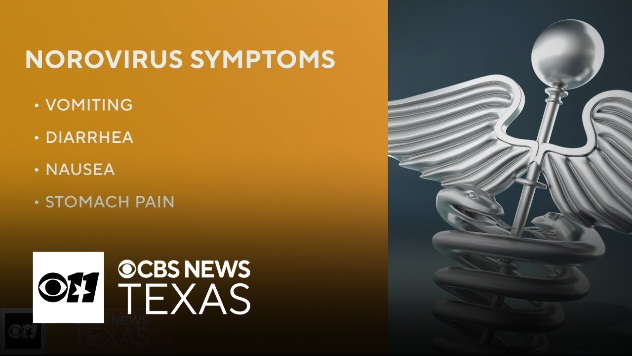 Signs and symptoms of norovirus as it spreads in North Texas – What's ...