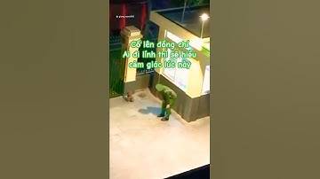 Cố lên đồng chí, Ai đi lính thì cũng sẽ hiểu cảm giác lúc này #bodoivietnam #trending