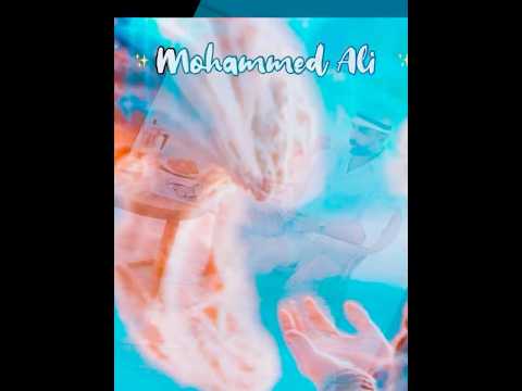 قالولي عايش من بعديك قولولي مين قالوا نسيك