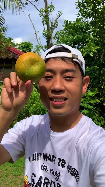 Keunggulan jeruk keprok