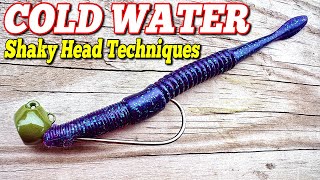 HIGH Percentage COLD Water Shaky Head TECHNIQUES