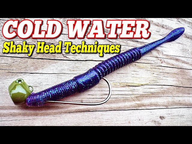 HIGH Percentage COLD Water Shaky Head TECHNIQUES 