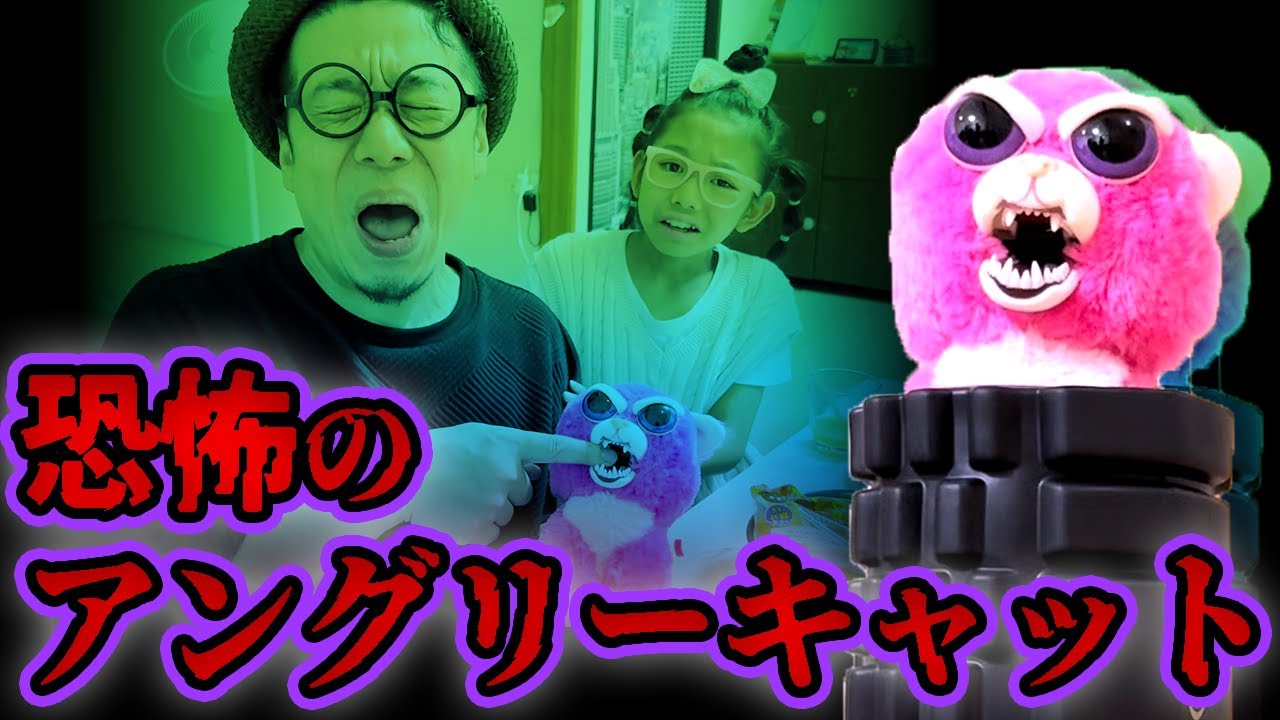 【恐怖のアングリーキャット😺】ピンクの猫のぬいぐるみが家にあったら気をつけてください【ホラー寸劇】