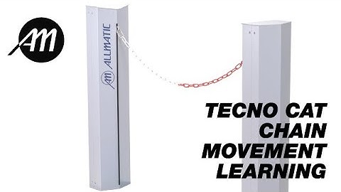 TECNO CAT Apprendimento corse catena / Chain movement learning