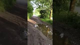 MTB in the cool forest. #adventure #spring #bike #fresh #water