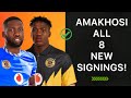 Kaizer Chiefs 8 CONFIRMED New Signings!