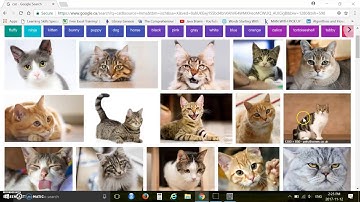Graphics or Image set using LaTeX - Part 8