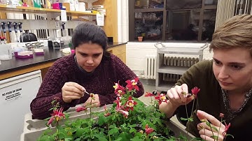 Science IRL mannequin challenge