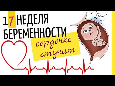 17 неделя беременности. Развитие плода. Как себя чувствует беременная. Как выглядит ребенок